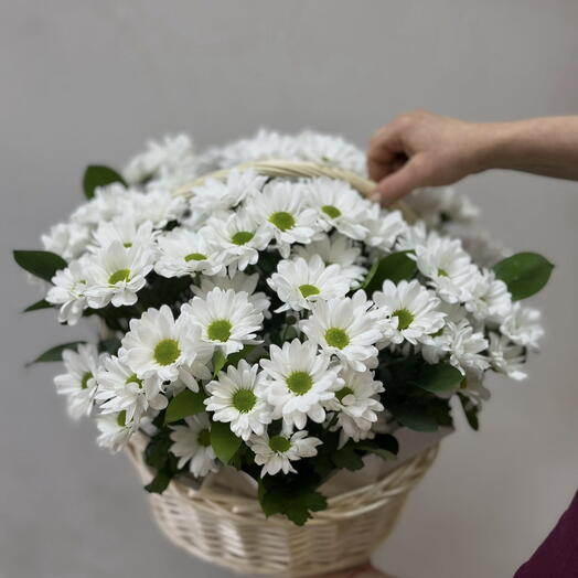 Корзина ромашковых хризантем