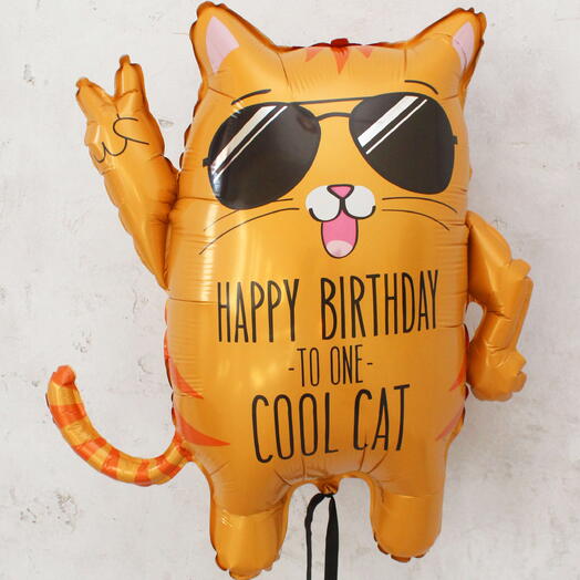 Шар/фигура «Cool Cat»