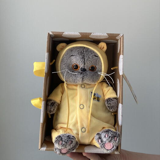 Кот Басик, в желтом комбенезоне