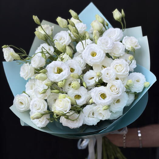 White Serenade