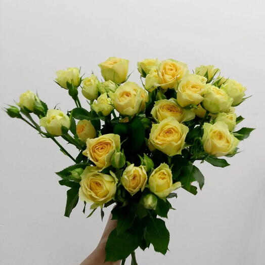 Букет из желтых кустовых роз 7 шт