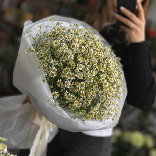 Полевой