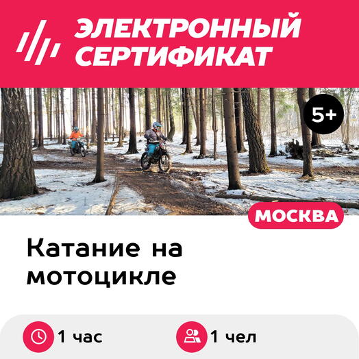 Подарочный сертификат Мастер лис. Индивидуальная тренировка на питбайке/эндуро, 1 чел. (1 час)