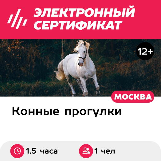 Подарочный сертификат Индивидуальная конная прогулка шагом, рысью и галопом, 1 чел. (1,5 часа)