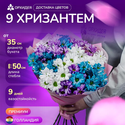 9 хризантем микс краш