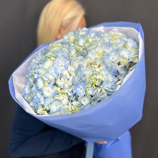 💙Мятная свежесть гортензии 008