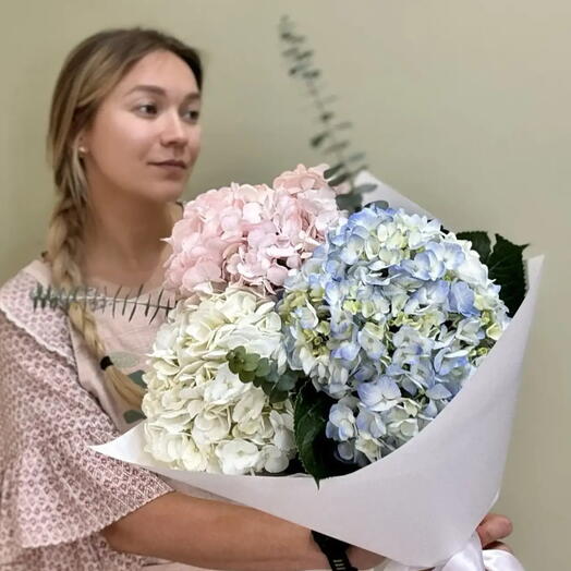 Букет из 3 шт. Разноцветных гортензий ( розового, голубого и белого цвета) с ароматным эвкалиптом 2 шт