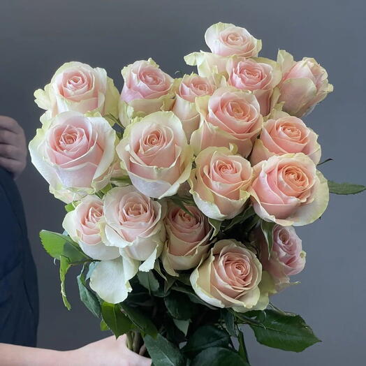 Роза Эквадор 40 см, 25 шт