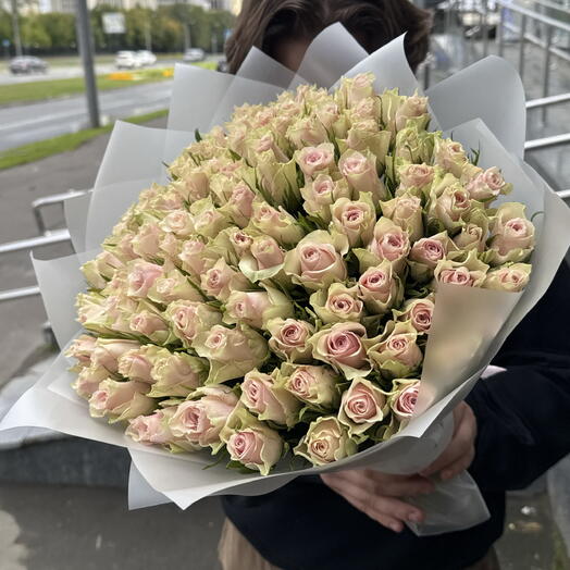 Нежно розовая Роза