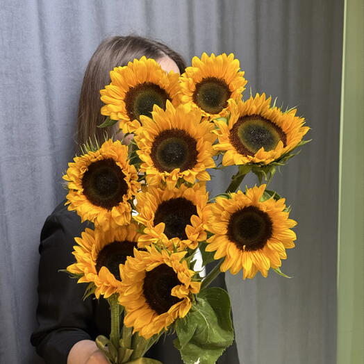 Подсолнухи 🌻 9 штук