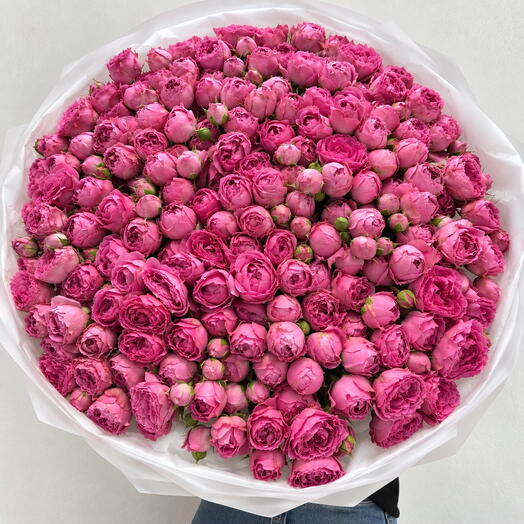 THE GRAND SPRAY ROSE