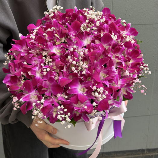 Фиалетовый дендробиум с гипсофилой в большой коробке 💐