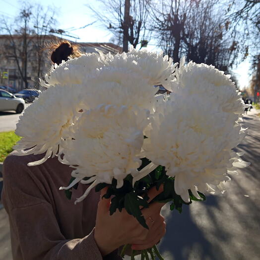Букет из 7 одноголовых хризантем