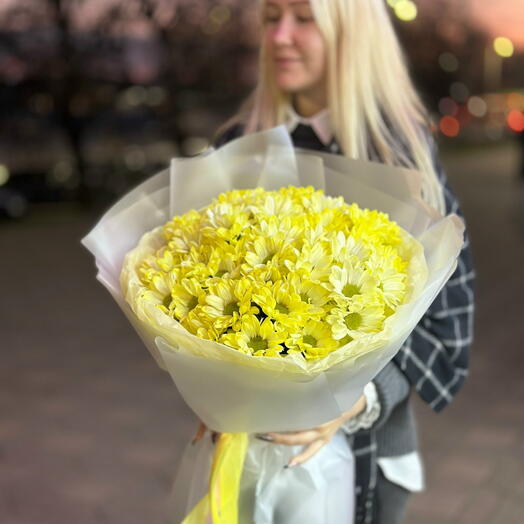Желтые хризантемы 💛