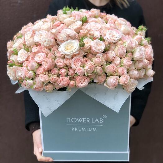 Flowers in a box Roses bush Bombastic 65 pieces