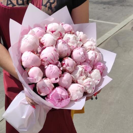 Monobook " My lovely peonies"