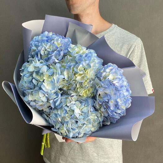 5 hortensias