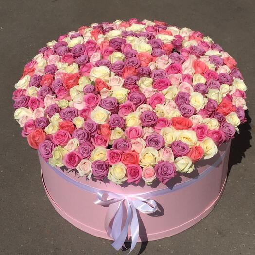 201 Roses in a box