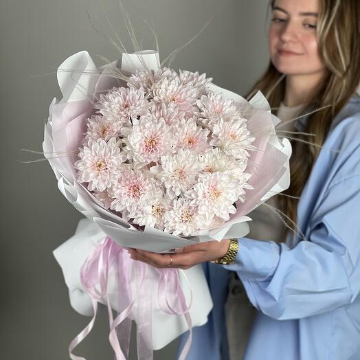 Delicate marshmallow chrysanthemum