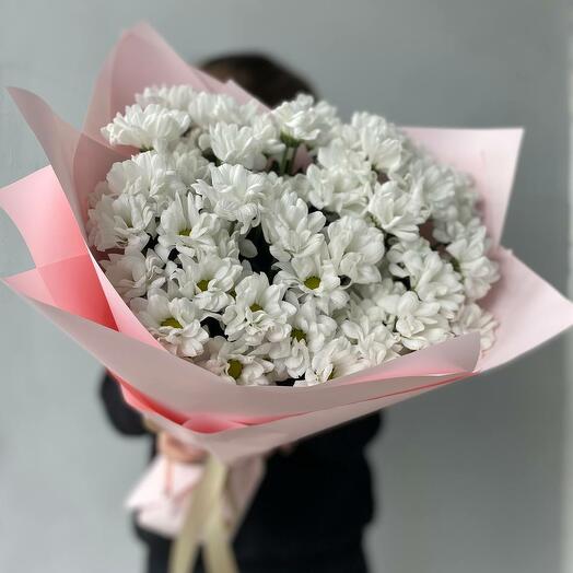 11 white chamomile chrysanthemums