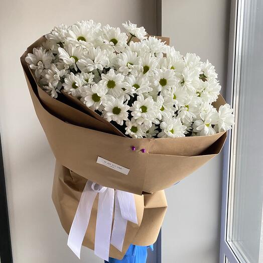 Chamomile chrysanthemum