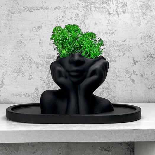 Planters\vase for decor and interior