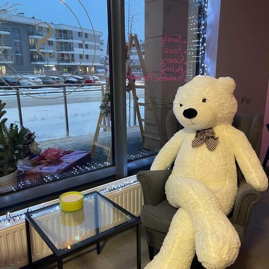 Böyük oyuncaq ayı