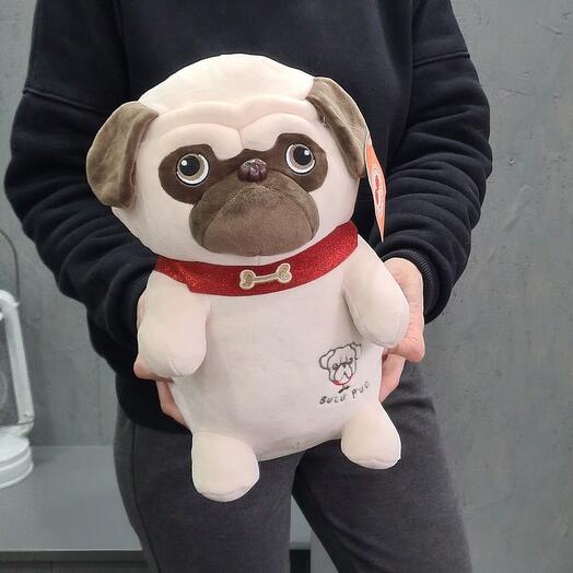 Собака Мопс