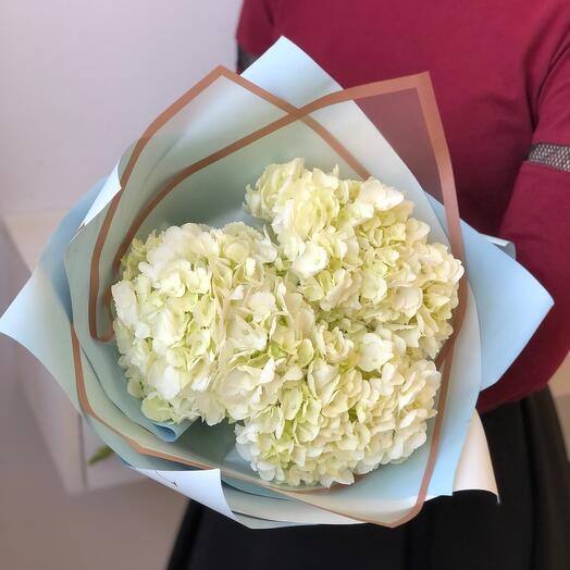 Ramo de Hortensias