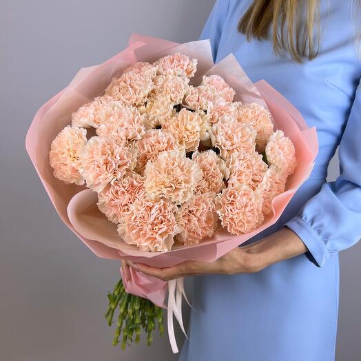 Mono Vainilla Dianthus (25)