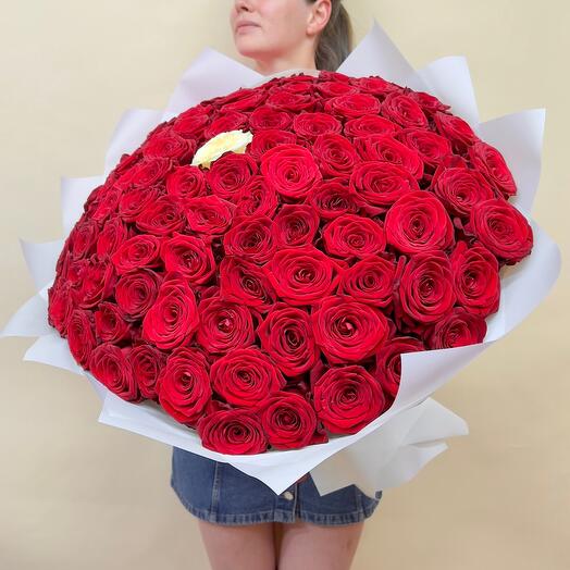 100 красных и 1 белая Роза 70см