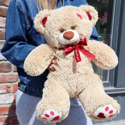 Teddy bear