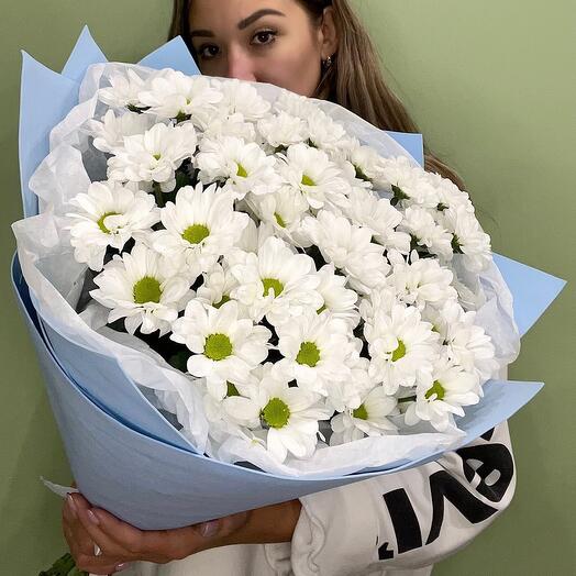 Daisies