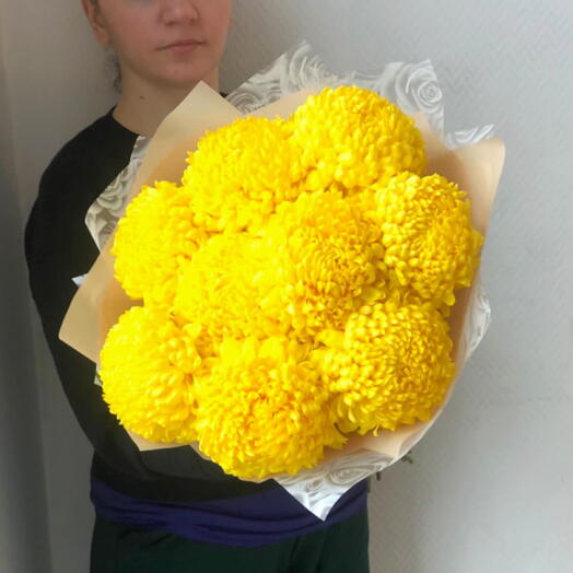 Стойкая хризантема желтая