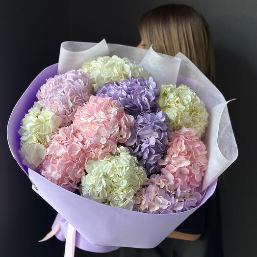 Multi-colored mix of 11 hydrangeas and Sweet caramel