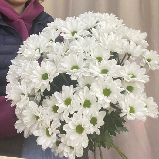Букет из 9 хризантем для любимой Мамы