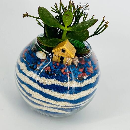 Round mini florarium with succulents and a house