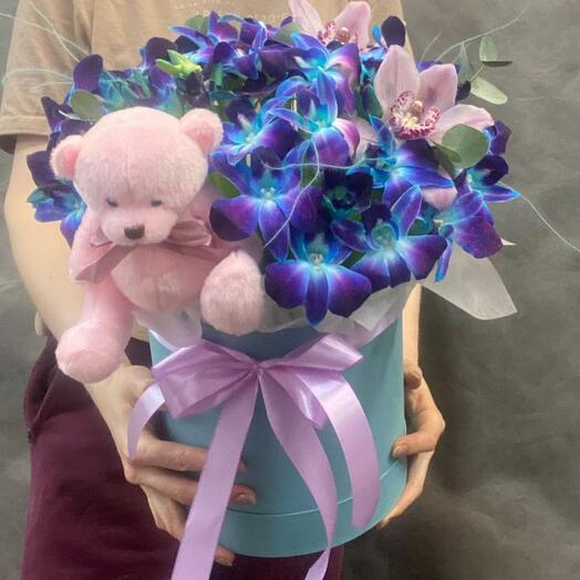 Орхидея в коробке 💙Новинка 💙