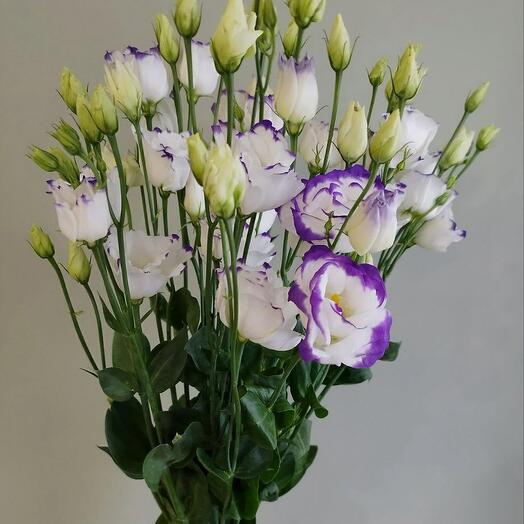 Букет Эустом