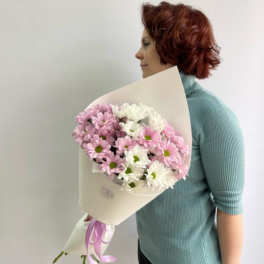 Букет Daisy из 5 микс кустовых ромашек (хризантемы)