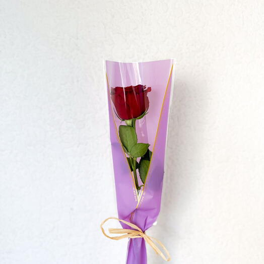 1 Fresh Red Rose Wrapped with Bouquet Bag