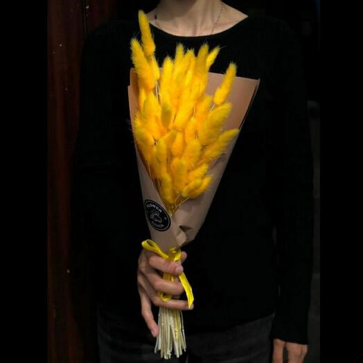 Солнечный Лагурус