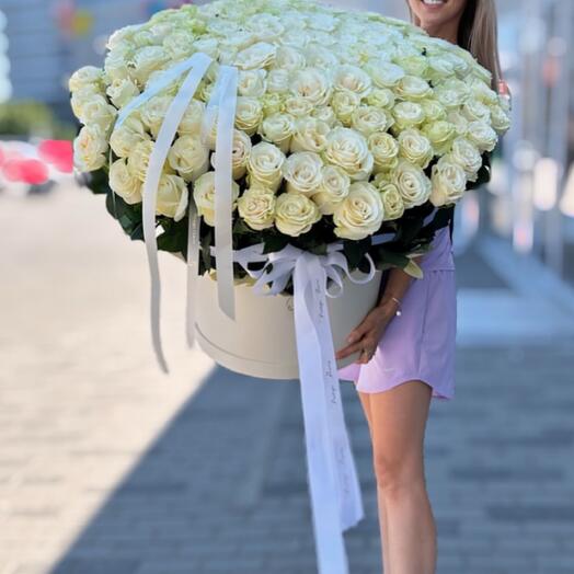 White Rose in box