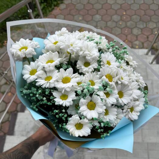 Хризантемы