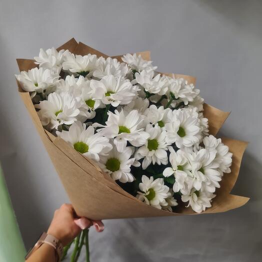 Белые кустовые хризантемы