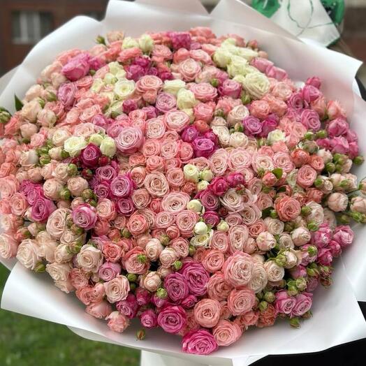 101 кустовая Роза 🌹