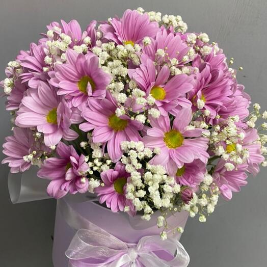 Chrysanthemums in a box,, Tenderness