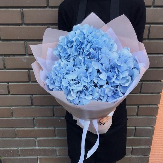 Bouquet of blue hydrangeas