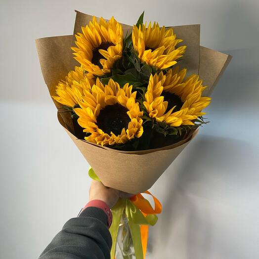 Girasoles