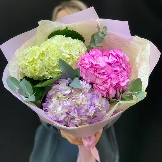Ramo de hortensias